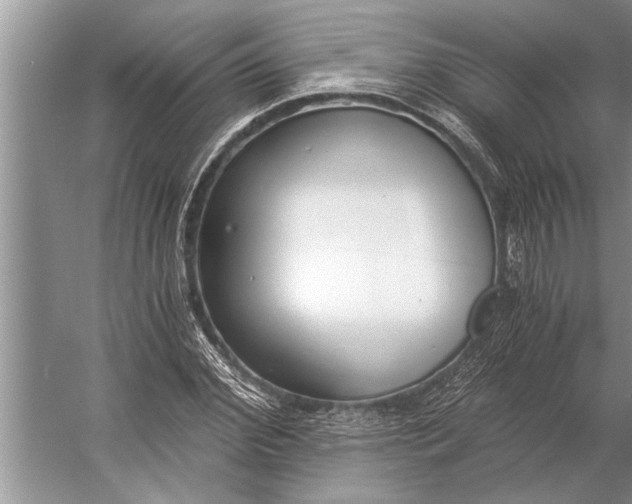 X0000056360972200509161824