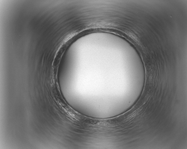 X0000056360974200509161824