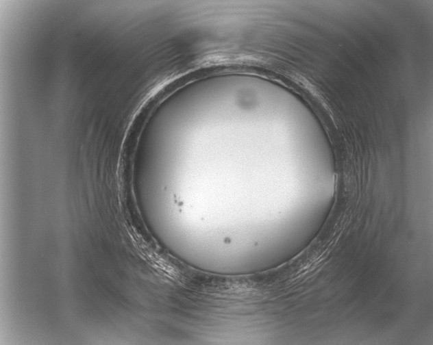 X0000056360975200509161824