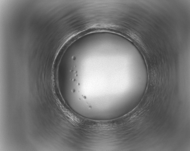 X0000056360976200509161824