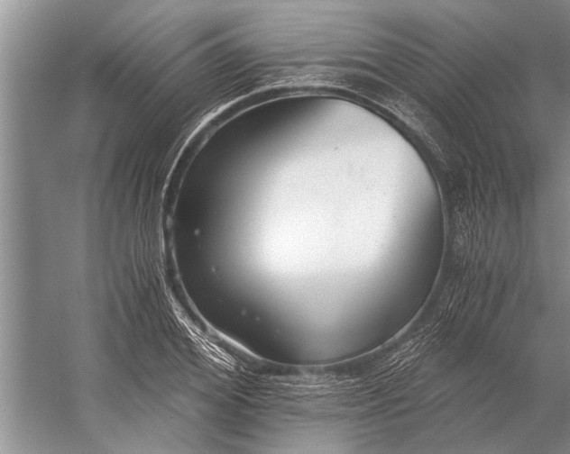 X0000056360980200509161824