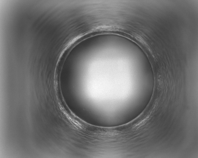 X0000056360981200509161824