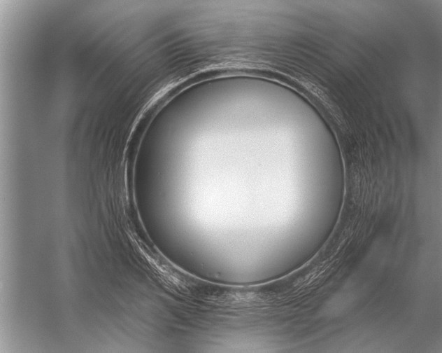 X0000056360982200509161823