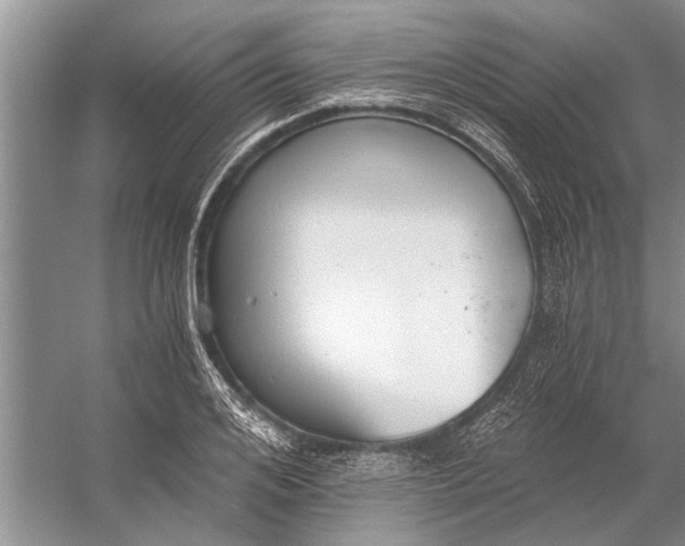 X0000056360984200509161823