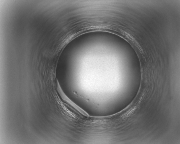 X0000056360985200509161823