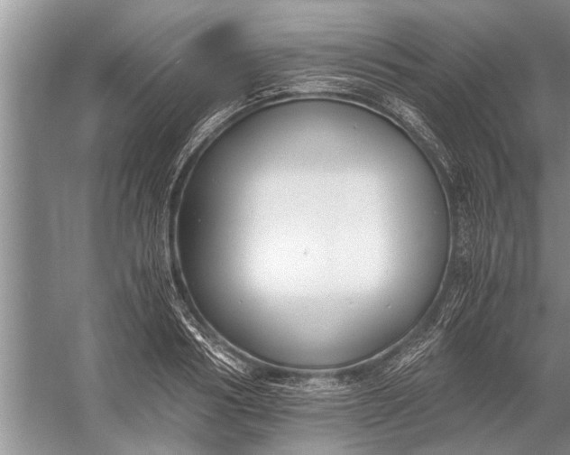 X0000056360986200509161823