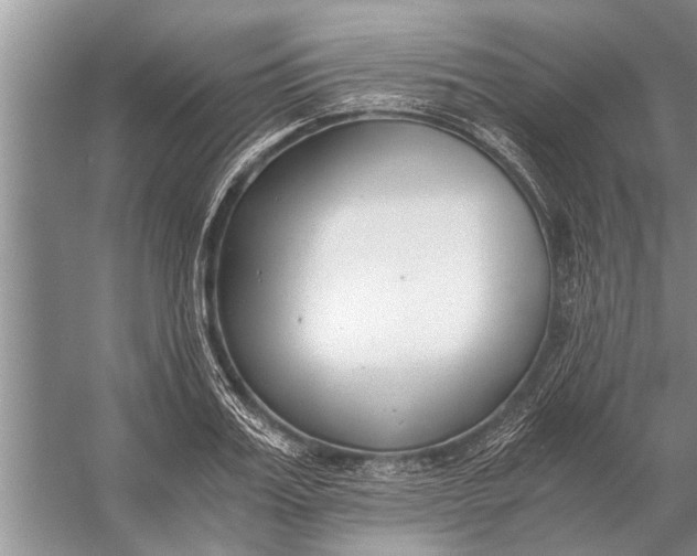 X0000056360987200509161823