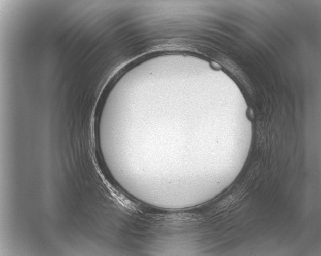 X0000056360988200509161823