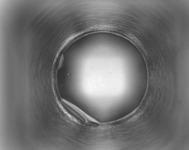 X0000056360989200509161823