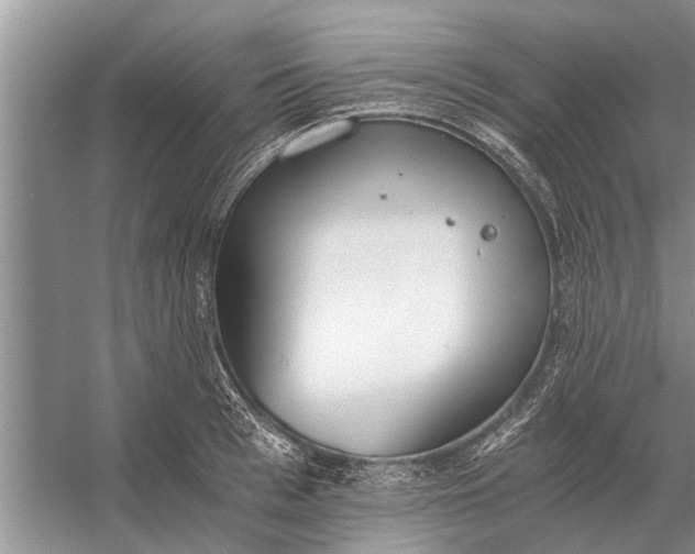 X0000056360993200509161823