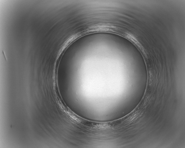 X0000056360994200509161823