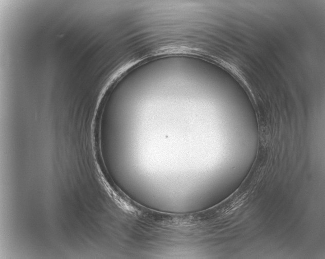 X0000056360995200509161823