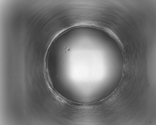 X0000056360996200509161823