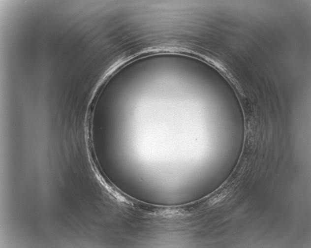 X0000056360998200509161823