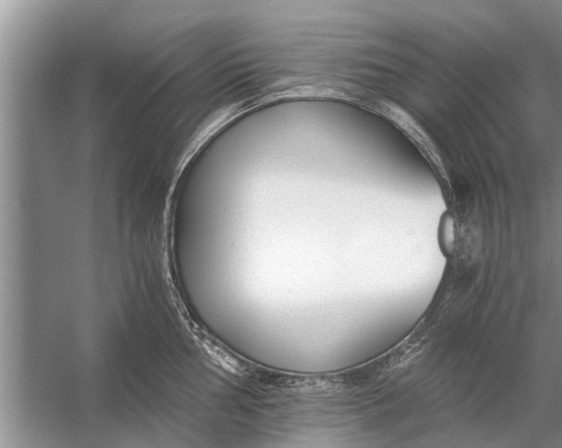 X0000056361002200509161823