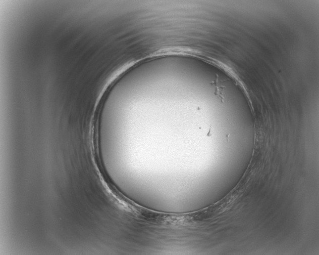 X0000056361003200509161823