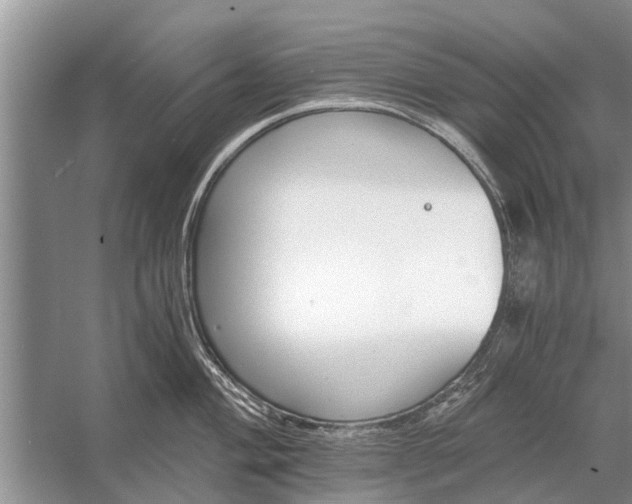 X0000056361004200509161823