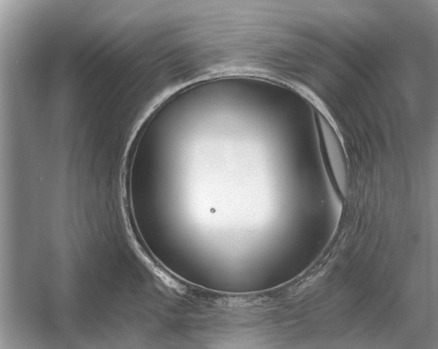 X0000056361005200509161823