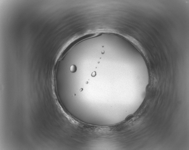 X0000056361006200509161823