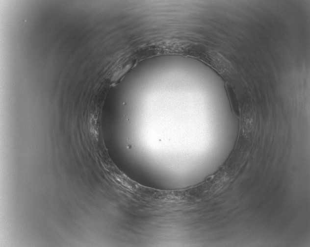 X0000056361010200509161822