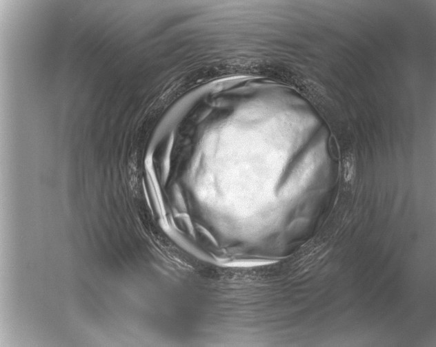 X0000056361011200509161822