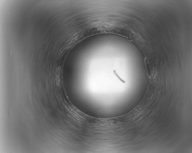 X0000056361012200509161822