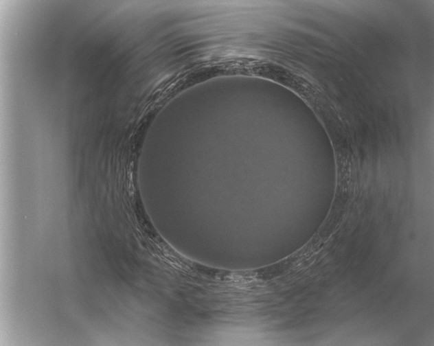 X0000056361013200509161822