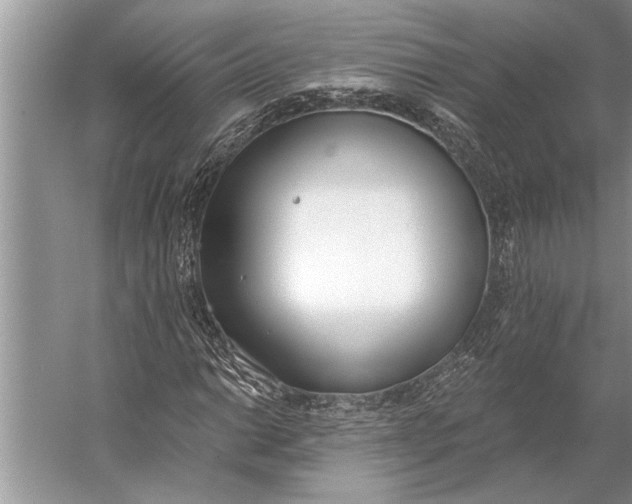 X0000056361014200509161822