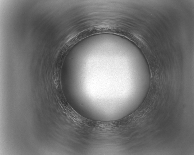 X0000056361015200509161822