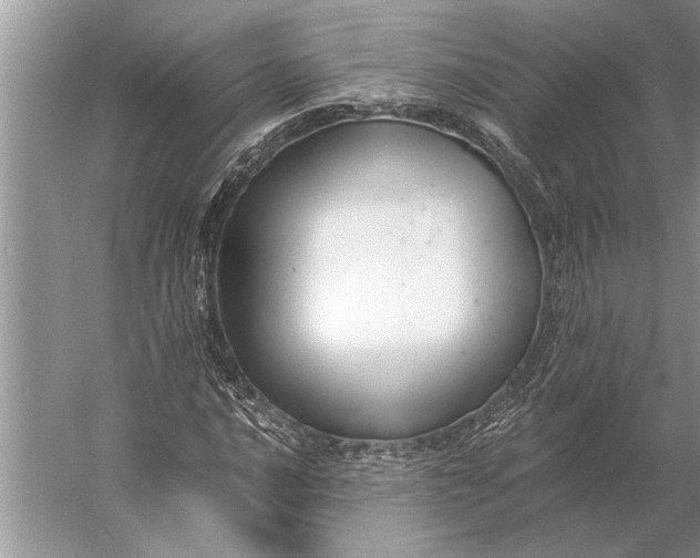 X0000056361016200509161822