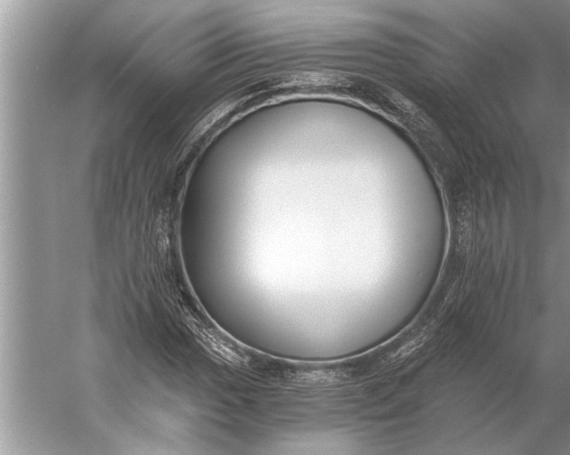 X0000056361017200509161822