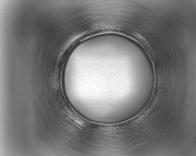 X0000056361019200509161822