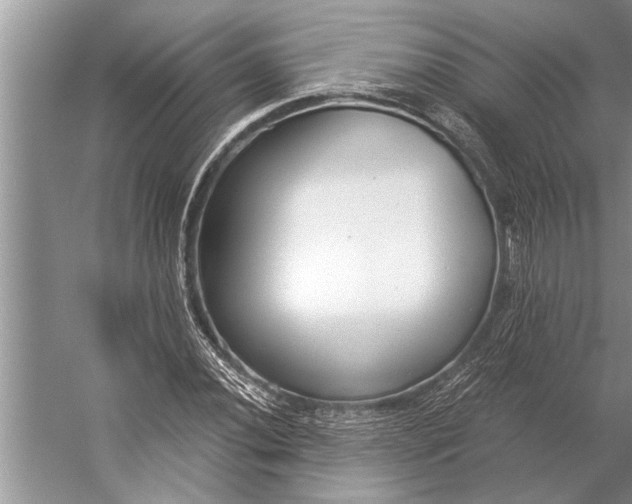 X0000056361020200509161822