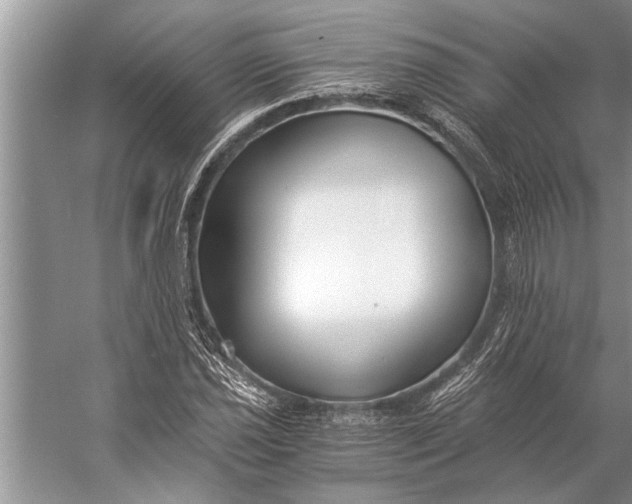 X0000056361021200509161822