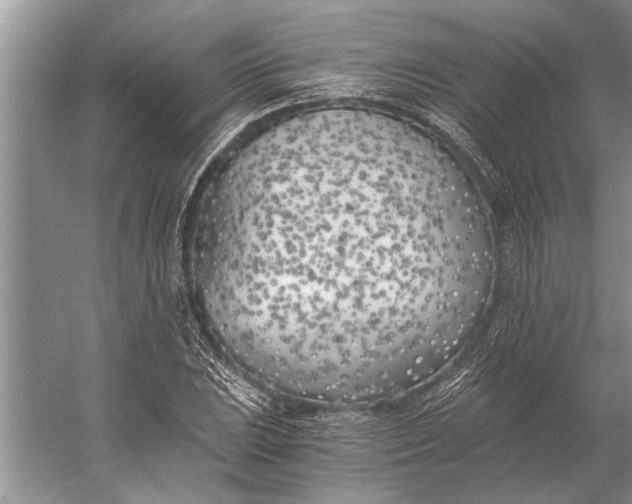 X0000056361023200509161822