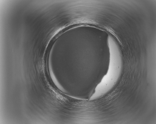 X0000056361024200509161822