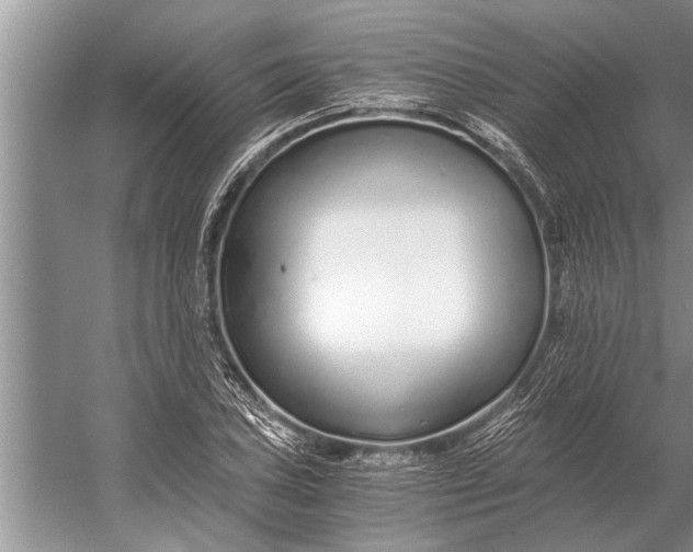 X0000056361027200509161823