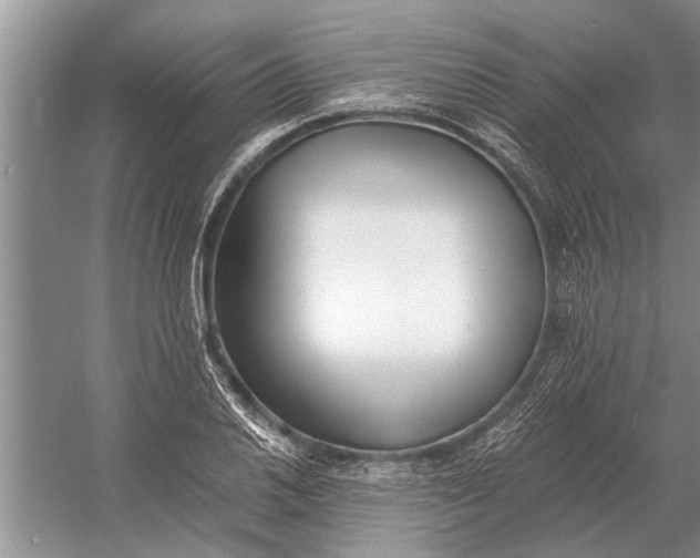 X0000056361030200509161823