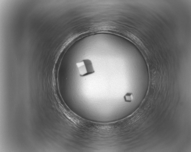 X0000056361031200509161823