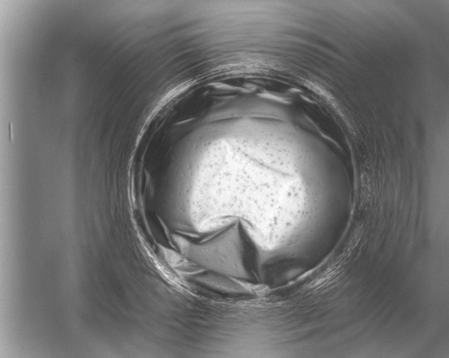 X0000056361034200509161823