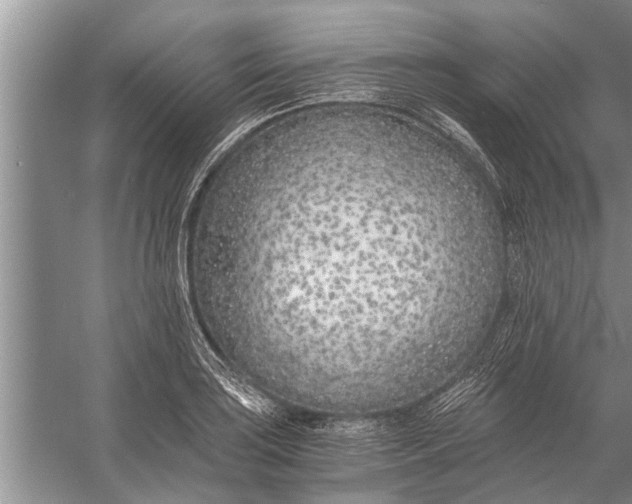 X0000056361035200509161823