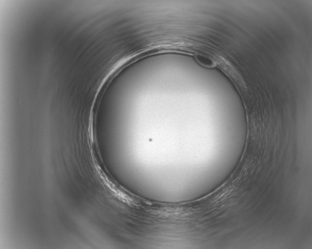 X0000056361036200509161823