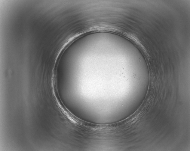 X0000056361040200509161823