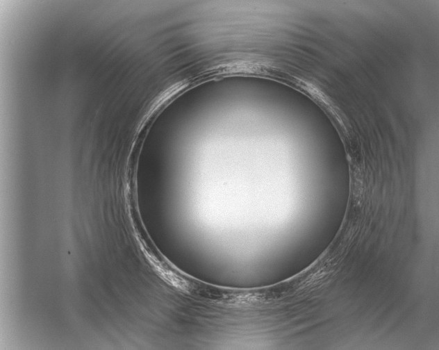 X0000056361042200509161823