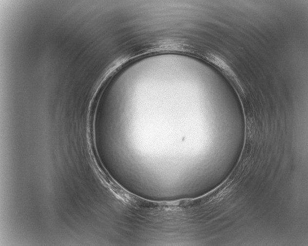 X0000056361043200509161823