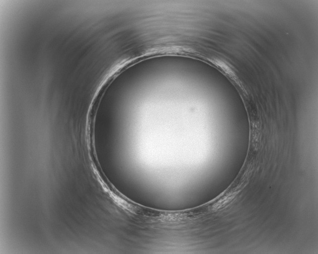 X0000056361046200509161823