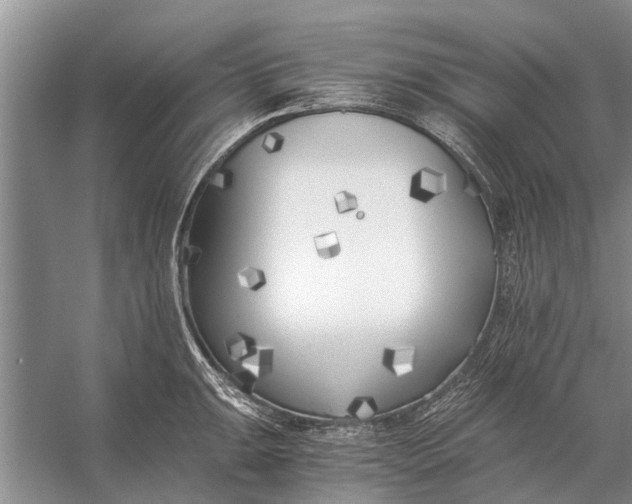 X0000056361047200509161823