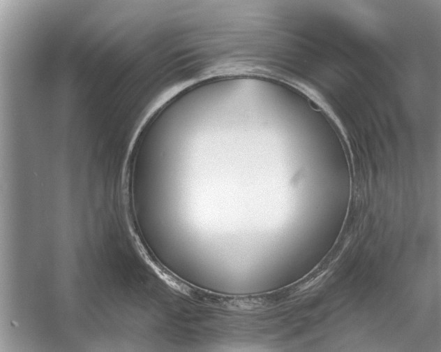 X0000056361053200509161823