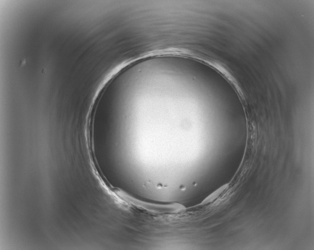 X0000056361054200509161823