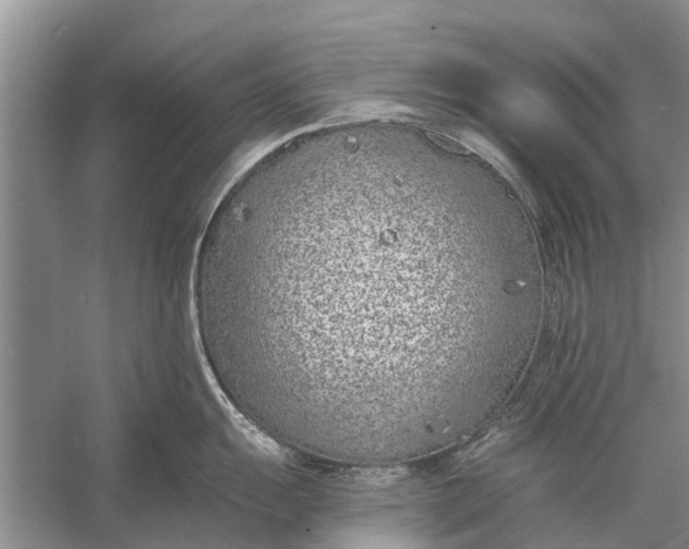 X0000056361055200509161823